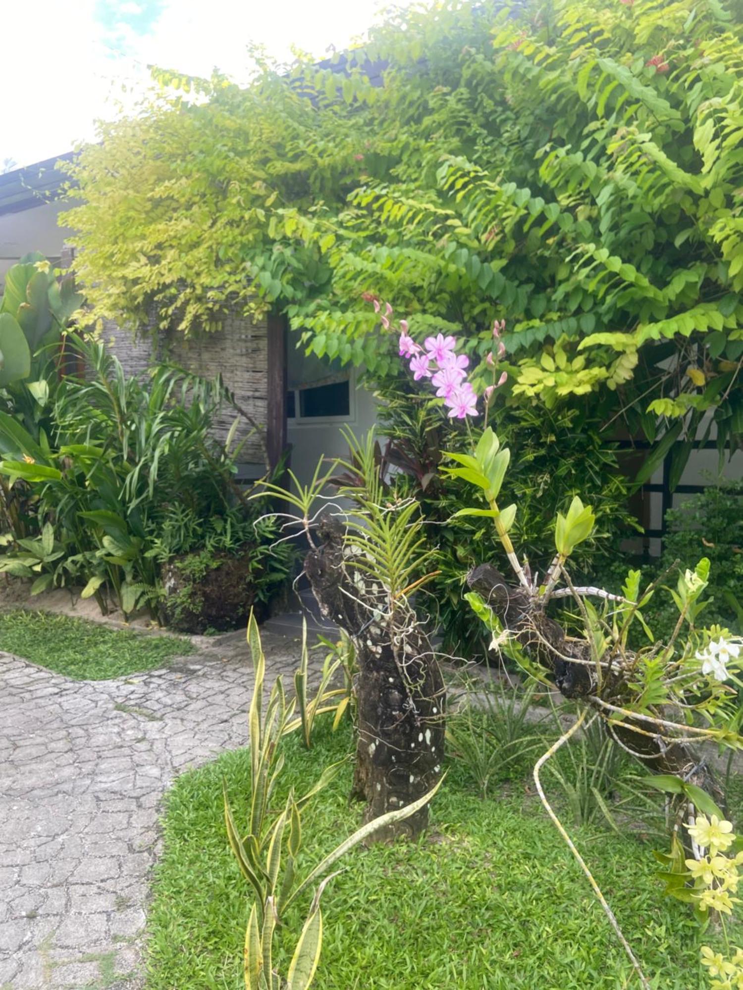 Vivo Siargao General Luna (Surigao del Norte) Exterior foto